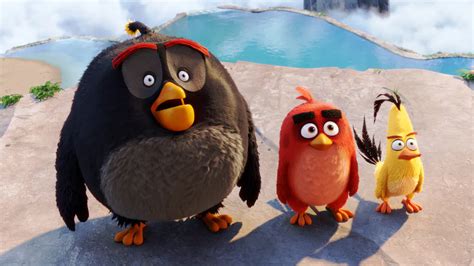 angry birds red and chuck|triangle bird from angry birds.